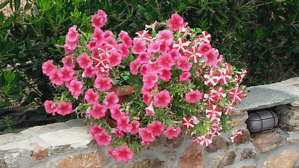Skála Kallirákhis Studios Elianthos מראה חיצוני תמונה
