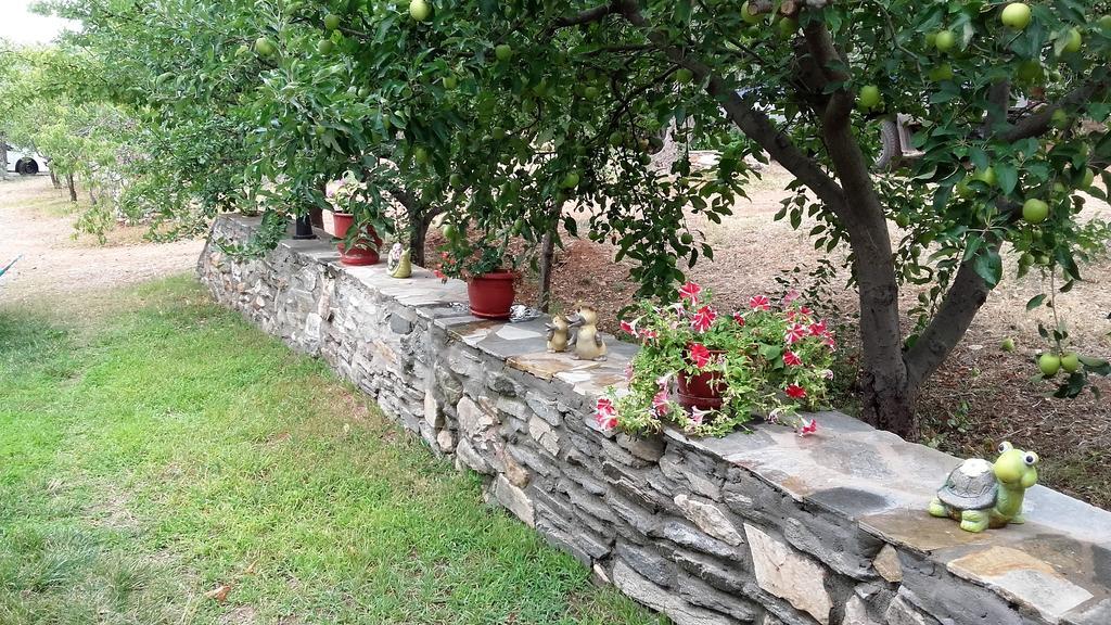 Skála Kallirákhis Studios Elianthos מראה חיצוני תמונה